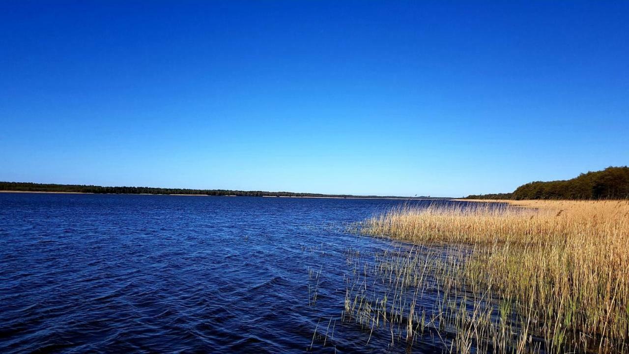 Domek Leba Nowecin Экстерьер фото